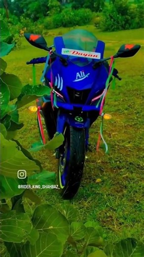 r15 lovers ❤️ Bast Bike Full masti on road #r15 #r15v4 #r15v3 #status #r15v5 #ktmlover #r15mlover