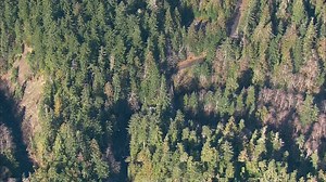 Homicide investigation underway after body found in Olympic National Forest