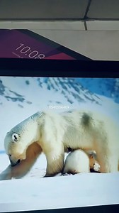 TABLETTE LENOVO TAB M2 2 GO DE RAM 32 GO MÉMOIRE PRESQUE NEUF AVEC BOÎTE SANS CHARGEUR PRIX 16000 DA ELKHROUB CONSTANTINE LIVRAISON DISPONIBLE MARHABA Partie 3 | Sofiane Fana | Facebook