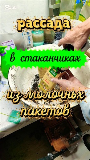 как сделать стаканчики своими руками #рассада #aleksдежурныйпокухне