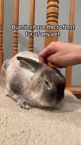 You can’t change my mind | Dane Jones