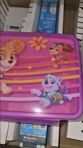 paw patrol Skye lunch box