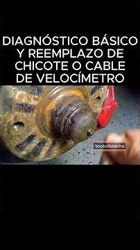 Basic diagnosis and replacement of the speedometer cable or wire