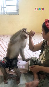 Is This Real Bicep?😲 Jason Take Closer Look To Compare Mom's Muscle | Monkey Jason