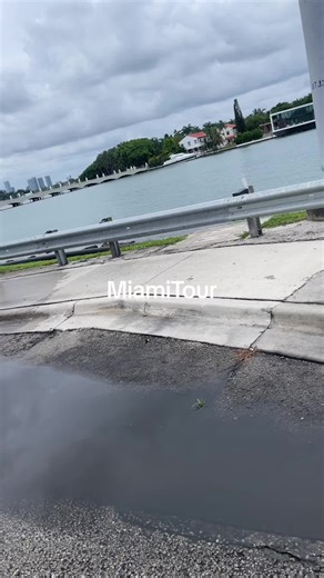 Alison Reed (@alisonreed)’s videos with original sound - Alison Reed