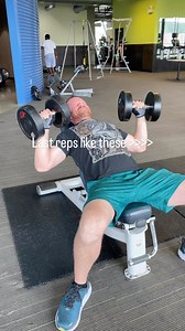 Dues Paid | Ball Pythons 101