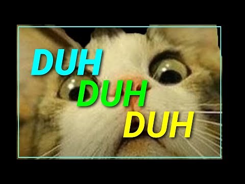 Duh duh duh Sound effect | Remastered | Cat Dramatic | dun dun dun blackpink