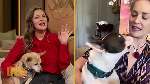 2M views · 49K reactions | In an honest interview with Drew, Sharon Stone reveals she's done dating and why she doesn't feel like men and women are in the same place right now. Watch more from today's show: https://bit.ly/373wGTu | The Drew Barrymore Show | Facebook