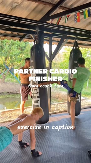 Partner Cardio Finisher