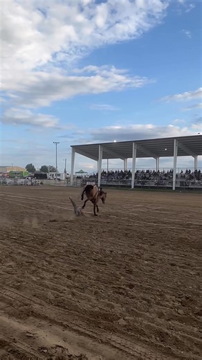 Ray Runnels on Reels