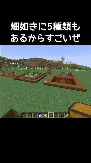流行りの5種類畑の作り方 #マイクラ #マインクラフト #minecraft #ゲーム #ゲーム実況 #gaming #gameplay #実況 #games #shorts #shortvideo