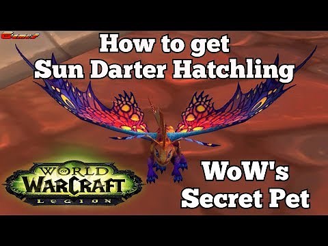 How to get the Sun Darter Hatchling Pet wow's Secret Hidden Pet