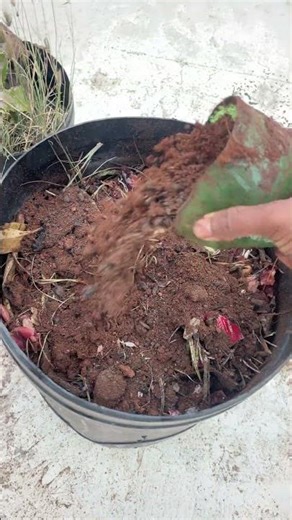 Easy Composting at Home | Zero Waste Idea💚