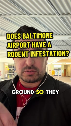 Rat Daddy says: if you see one mouse in the Baltimore Airport, there’s usually more behind the scenes. Time to call pest control before they start earning frequent flyer miles. #RatDaddy #UrbanRodents #baltimoreairport #PestControl #rattok