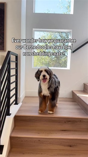 54K views · 2.1K reactions | Thanks to genetic testing, we can...