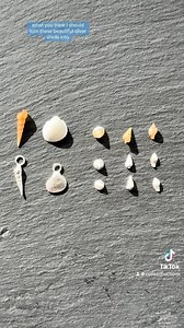 6K views · 126 reactions | New designs coming soon! What would you like to see these silver shells turned into? (Link to my website and all my jewellery on my profile!) email: info@covecollections.com • • • #smallbusiness #ecosterlingsilver #surfjewellery #silversmith #ecojewellery #handmadejewellery #seaglass #seaglassjewellery | Cove Collections | Facebook