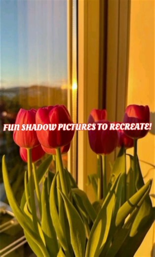 Fun shadow pictures to recreate! 📸✨ #shorts #aesthetic #photography #pose #trending #subscribe #fyp