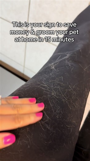 This saves us so much money and I no longer have pet hair everywhere 👏🏼 #petsoftiktok#dogtok#cattok#dogmom#catmom