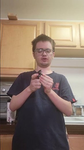 Mini Godzilla Filius review