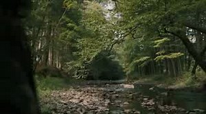 Женщина фильм ужасов The Woman 2011