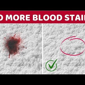 How to get blood out of carpet - Quickly at home | DIY Solutions