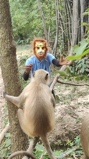 🐒🤣 Monkey Meets Lion Mask in Jungle | Funny Shorts #comedy #shorts