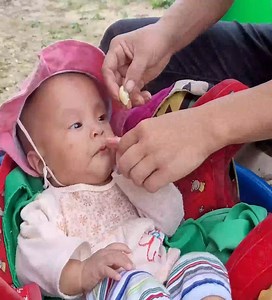 2.9M views · 10K reactions | Poor Mother & Daughter go to the forest to get fruit to sell, buy pork to process fat | Litzy Montgomery | Facebook