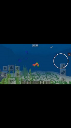 How to Use the Heart of the Sea in Minecraft
