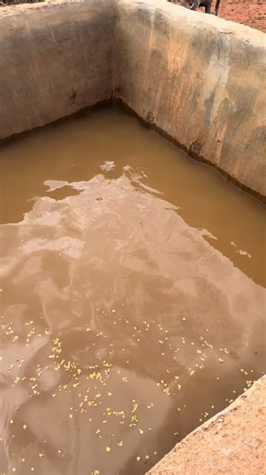 Idle Omar Husein (Colhaye) (@idle.0mar)’s videos with original sound - Idle Omar Husein (Colhaye)