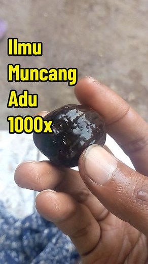 AFR Online on TikTok