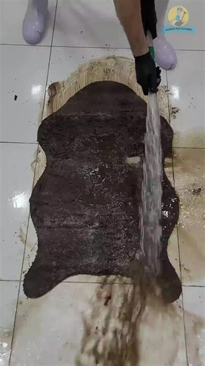 How To Clean Carpet: Effective Tips and Techniques