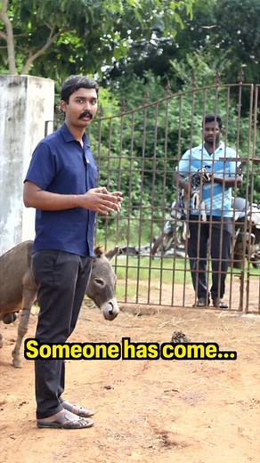 New arrival to our sanctuary! #animals #animalsofinstagram #goat #rescue #viral | Sai Vignesh