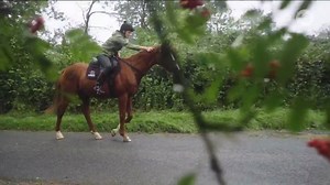 "Every time I get on him, I just smile...there's no better feeling" Francesca Cumani introduces us to George, better known to racing fans as Purple Moon - and shows us the beautiful bond between owner and horse #DerbyDay #MelbCupCarnival | 10 Sport