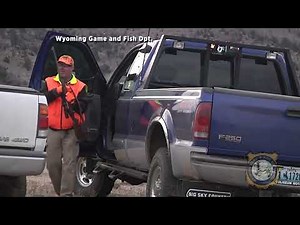 New License Rules and Schedule Announced for 2025 Elk Hunt on National Elk Refuge