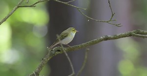 Video by Petr Ganaj on Pexels