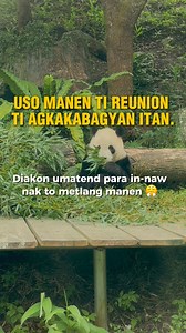Uso manen ti reunion #ilocano #fblifestyle | Tambayang Ilocano