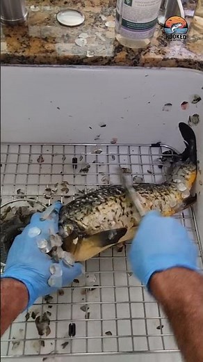 How to Clean Carp Fish Fast & Easy 🐟✨ (Step by Step Guide)