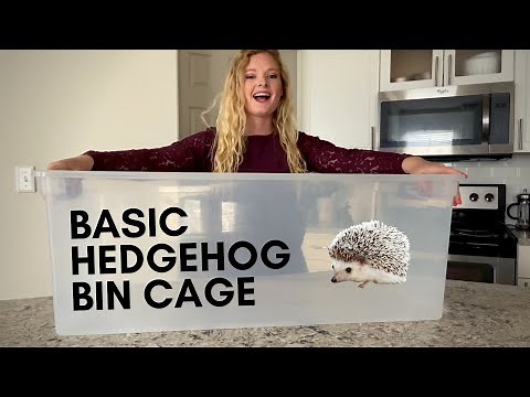 Setting Up A Basic / Budget Friendly Hedgehog Cage