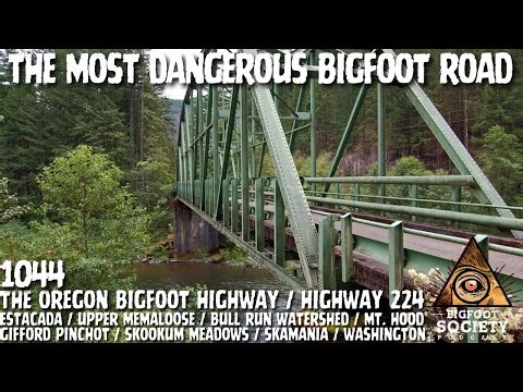 Decades in Oregon’s Bigfoot Highway But the Woods Talked Back | Bigfoot Society 1044
