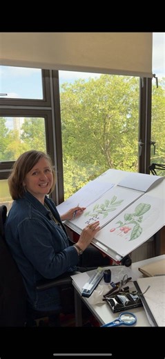 93K views · 2.2K reactions | All about Botanic Art!  Join Lucy Smith, one of our botanical artists, as she explains why the art form is still widely used in science.  Any more questions for Lucy? Ask away in the comments  | Kew Gardens | Facebook