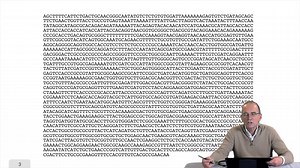 1.7. DNA walk | Canal U