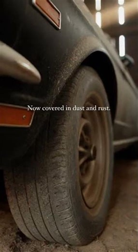 1969 Mustang Found Abandoned After 40 Years