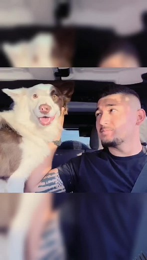 Explorando arizona. El explorador. Aventuras al extremo. Aventuras del oste. La vida en el oeste.