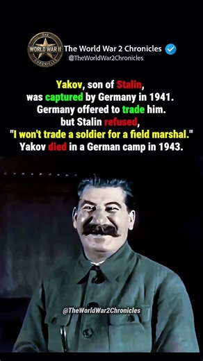 How Stalin had his own son killed #history #worldwar2 #ww2