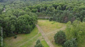 Wolf Tracks at Bondi Resort (Muskoka, Lakes, Forests)