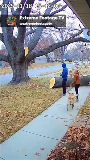 Falling Tree Nearly Hits Family Walk