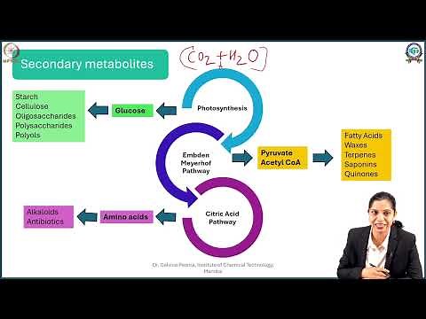 Week 1: Lecture 3: Introduction to Primary, Secondary Metabolites and Biosynthetic building blocks