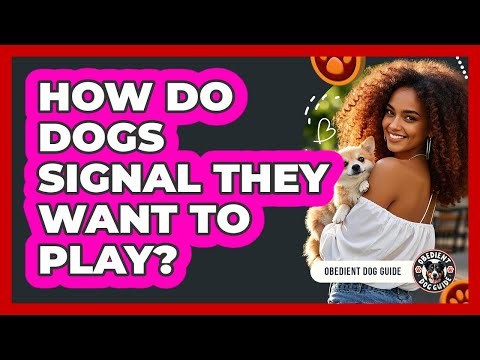 How Do Dogs Signal They Want to Play?