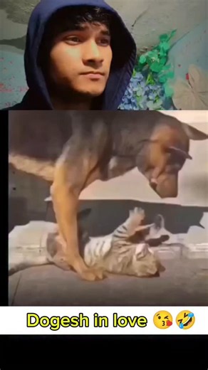 CB_React on Instagram: "Day 14/90 Finding Funniest Reels on Instagram for reaction 😂 Dogesh Bhai in love with Cashi 🤣 #90dayfunnymemes #trendingreels #funnymemes😂 #reactionmeme #dogesh"