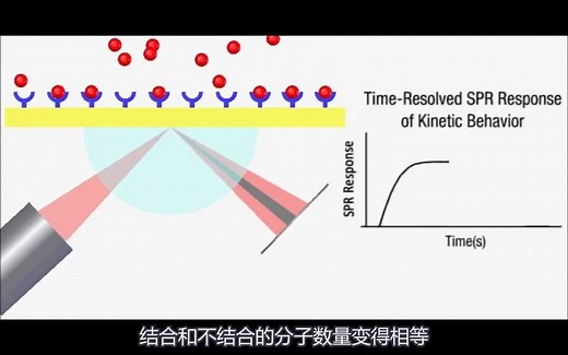【中英双字】表面等离子共振技术 SPR介绍 (Surface Plasmon Resonance)